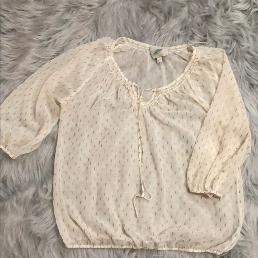 Nurture Sheer blouse